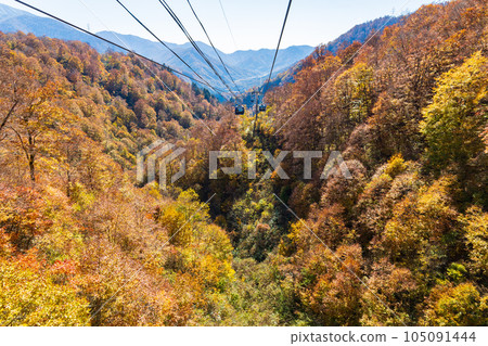 Yuzawa Town, Niigata A walk in the air with a spectacular view Naeba Dragon Dora in autumn colors Yuzawa Town, Niigata A walk in the air with a spectacular view Naeba Dragon Dora in autumn colors 105091444