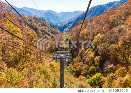 Yuzawa Town, Niigata A walk in the air with a spectacular view Naeba Dragon Dora in autumn colors Yuzawa Town, Niigata A walk in the air with a spectacular view Naeba Dragon Dora in autumn colors 105091445