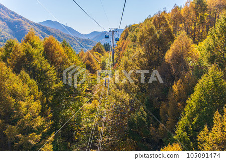 Yuzawa Town, Niigata A walk in the air with a spectacular view Naeba Dragon Dora in autumn colors 105091474