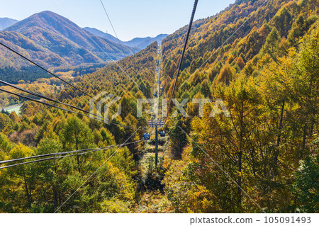 Yuzawa Town, Niigata A walk in the air with a spectacular view Naeba Dragon Dora in autumn colors Yuzawa Town, Niigata A walk in the air with a spectacular view Naeba Dragon Dora in autumn colors 105091493