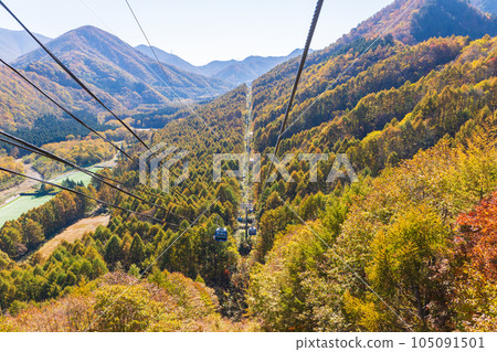 Yuzawa Town, Niigata A walk in the air with a spectacular view Naeba Dragon Dora in autumn colors Yuzawa Town, Niigata A walk in the air with a spectacular view Naeba Dragon Dora in autumn colors 105091501