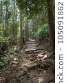 Kumano Kodo promenade 105091862
