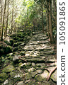 Kumano Kodo promenade 105091865