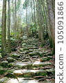 Kumano Kodo promenade 105091866