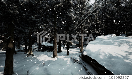 Winter forest in the snow Winter forest in the snow 105092267