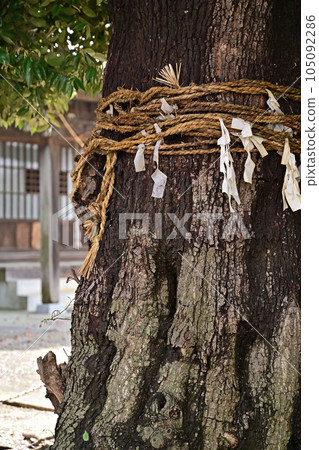 川口漫步：川口市小比神社、小比會館、新井宿 105092286