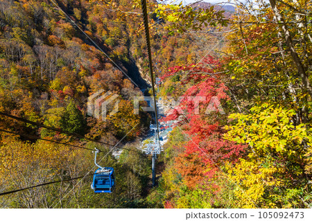 新潟縣湯澤町 空中漫步,欣賞秋日苗場龍多拉的壯麗景色 新潟縣湯澤町 空中漫步,欣賞秋日苗場龍多拉的壯麗景色 105092473