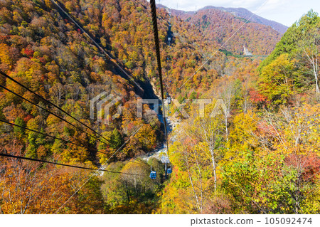 Yuzawa Town, Niigata A walk in the air with a spectacular view Naeba Dragon Dora in autumn colors Yuzawa Town, Niigata A walk in the air with a spectacular view Naeba Dragon Dora in autumn colors 105092474