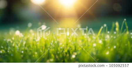 Beautiful blurred background of a green park at dawn. Beautiful blurred background of a green park at dawn. 105092557