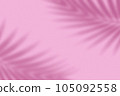 Shadow from palm leaves on a pink background. 105092558