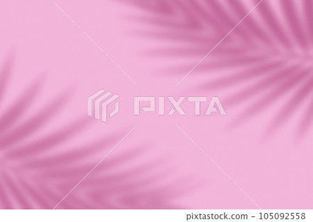 Shadow from palm leaves on a pink background. Shadow from palm leaves on a pink background. 105092558