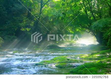 Kikuchi Valley in the summer sun (Kikuchi City) 105092768