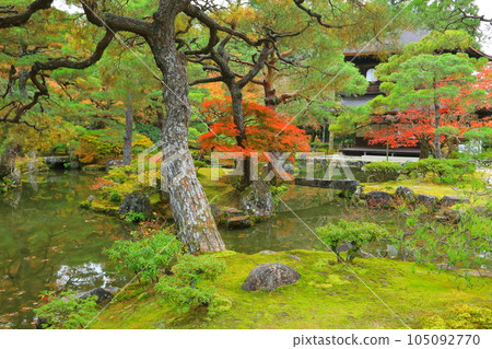 Japanese garden and temple in autumn (Kyoto City) 105092770