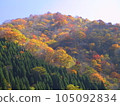 Autumn sky and mountains with colored leaves 105092834