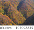 A mountain that turned red leaves 105092835