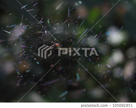 蜘蛛網棱鏡 105092851