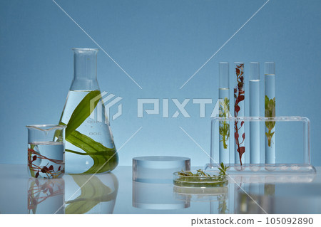 Laboratory concept for advertising cosmetic product with seaweed extract. Some lab glassware containing different types of seaweed with transparent liquid decorate on backlit blue background 105092890