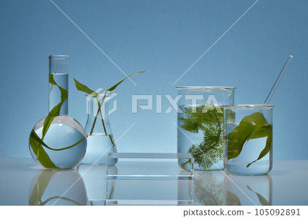 On the blue background, some glass flasks containing fresh seaweed leaves decorated with transparent podium. Empty space for display your product. Lab theme for advertising 105092891