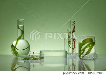 Blank minimalistic empty showcase template with laboratory equipment on backlit background. Space for display cosmetic with ingredient from seaweed. Front view 105092900