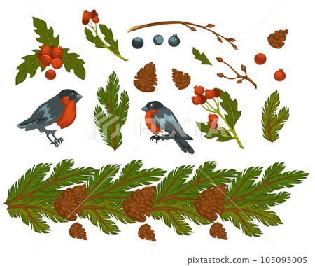 Bullfinches birds and pine tree branch with cone Bullfinches birds and pine tree branch with cone 105093005
