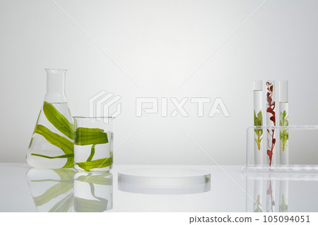 Few test tubes, a beaker and conical flask containing seaweed in red and green color. Transparent podium in round-shaped to show product that extracted from seaweed 105094051