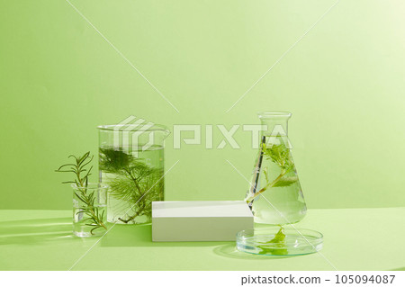 Fresh seaweed contained inside laboratory glassware with water. White podium with blank space for organic beauty product advertising of seaweed extract Fresh seaweed contained inside laboratory glassware with water. White podium with blank space for organic beauty product advertising of seaweed extract 105094087