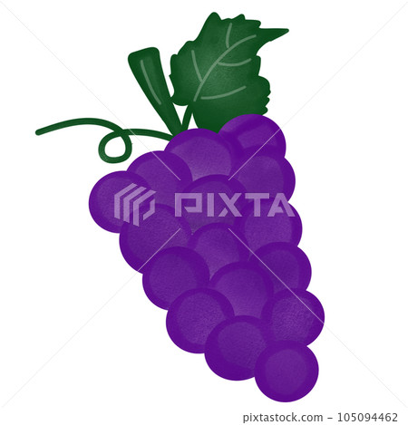 fruit cartoon characters illustration isolated...-插圖素材 [105094462 ...