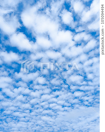 Sheep cloud (altocumulus) Sheep cloud (altocumulus) 105094494