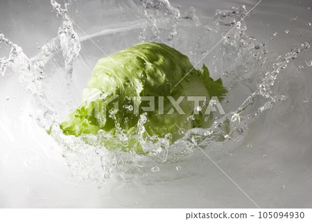 水里的生菜 105094930