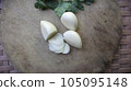 Fresh Garlic stock photo 105095148