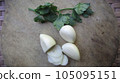 Fresh Garlic stock photo 105095151