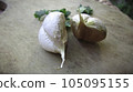 Fresh Garlic stock photo 105095155