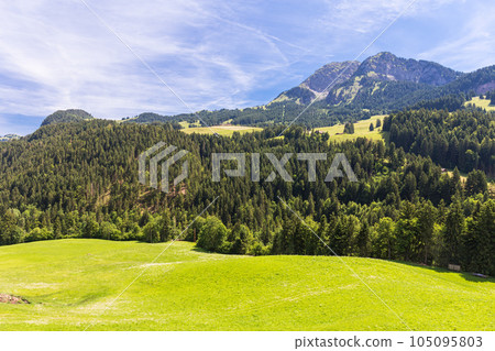 View on the Alps, Switzerland 105095803