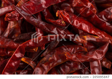 dried chili as a food background dried chili as a food background 105095847