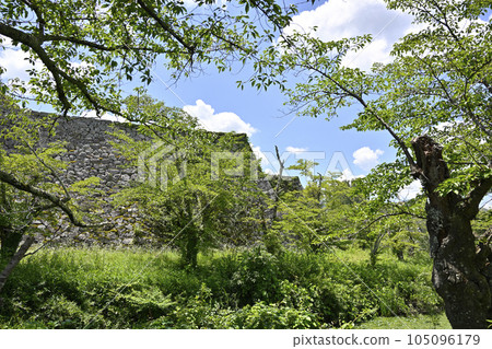 Stone wall and moat of Sasayama Castle Ruins 105096179