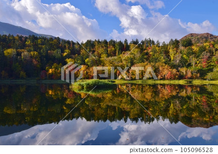 Autumn on Rishiri Island Himenuma Swamp surrounded by autumn leaves 105096528