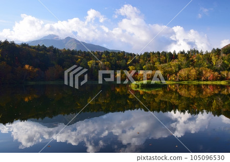利尻島姬沼沼澤的秋天被秋葉包圍 利尻島姬沼沼澤的秋天被秋葉包圍 105096530