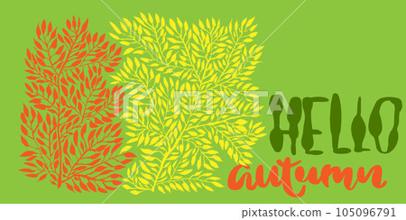 Hello Autumn Card. Modern Brush Lettering with Colorful Autumn Leaves 105096791