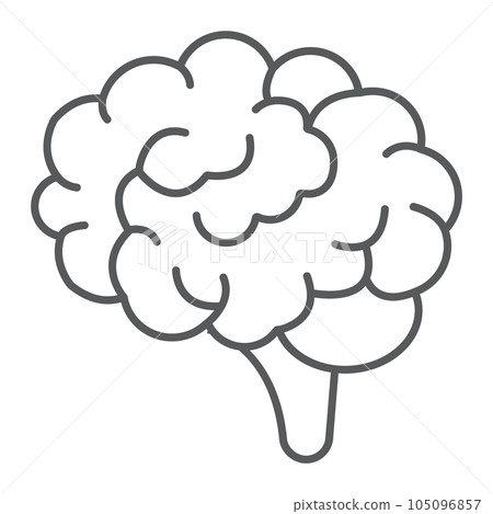 Brain thin line icon, anatomy and neurology Brain thin line icon, anatomy and neurology 105096857
