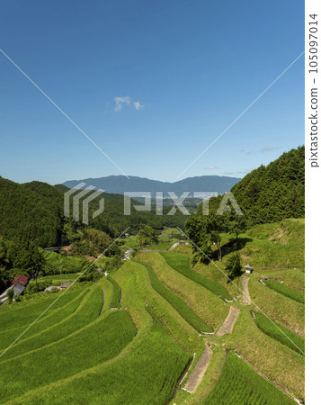 飛鳥村香美區的梯田 105097014