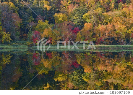 Autumn on Rishiri Island Himenuma Swamp surrounded by autumn leaves 105097109