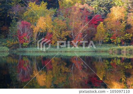 Autumn on Rishiri Island Himenuma Swamp surrounded by autumn leaves Autumn on Rishiri Island Himenuma Swamp surrounded by autumn leaves 105097110