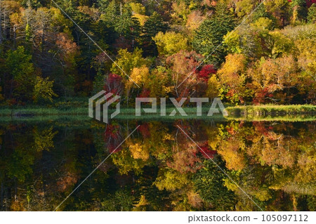 Autumn on Rishiri Island Himenuma Swamp surrounded by autumn leaves Autumn on Rishiri Island Himenuma Swamp surrounded by autumn leaves 105097112