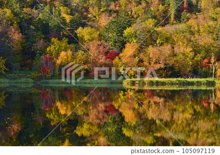 Autumn on Rishiri Island Himenuma Swamp surrounded by autumn leaves Autumn on Rishiri Island Himenuma Swamp surrounded by autumn leaves 105097119