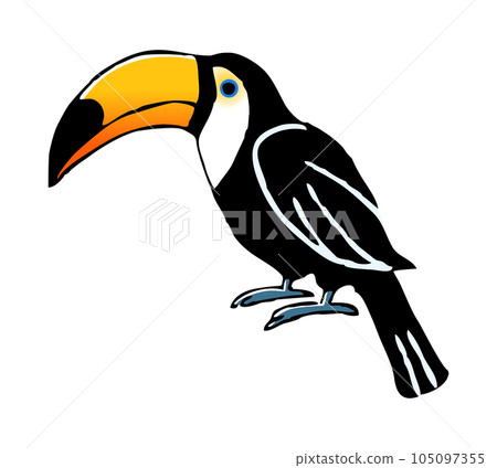 Toucan hand-drawn line drawing illustration Toucan hand-drawn line drawing illustration 105097355