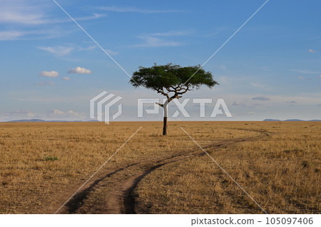 Colorful landscape with a lonely tree and a road 105097406