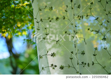 summer, the coolness of the garden behind the lace curtains summer, the coolness of the garden behind the lace curtains 105098462