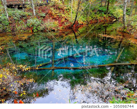 God's Pond God's Pond 105098744