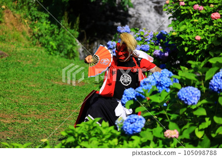 Iwate Prefecture Folk Performing Arts Performance Hydrangea and Demon Sword Dance Iwate Prefecture Folk Performing Arts Performance Hydrangea and Demon Sword Dance 105098788