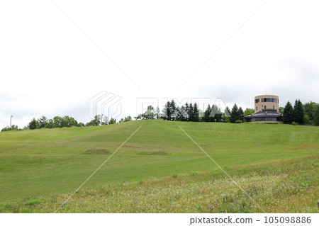 鈴蘭公園, 瀧野, 札幌市, 北海道, 公園, 草坪, 草, 公共設施, 戶外, 草原, 旅遊區, 遊樂設施, 玩耍, 山丘 105098886